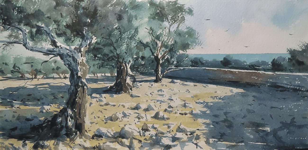 Maslinik, Akvarel, 37 x 17 cm
